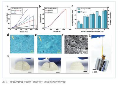 3D打印微结构水凝胶传感器 开启可穿戴智能医疗设备制造新篇章